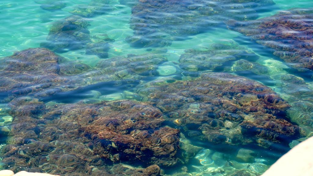 Apartamentos Starnerja En Stella Maris 外观 照片