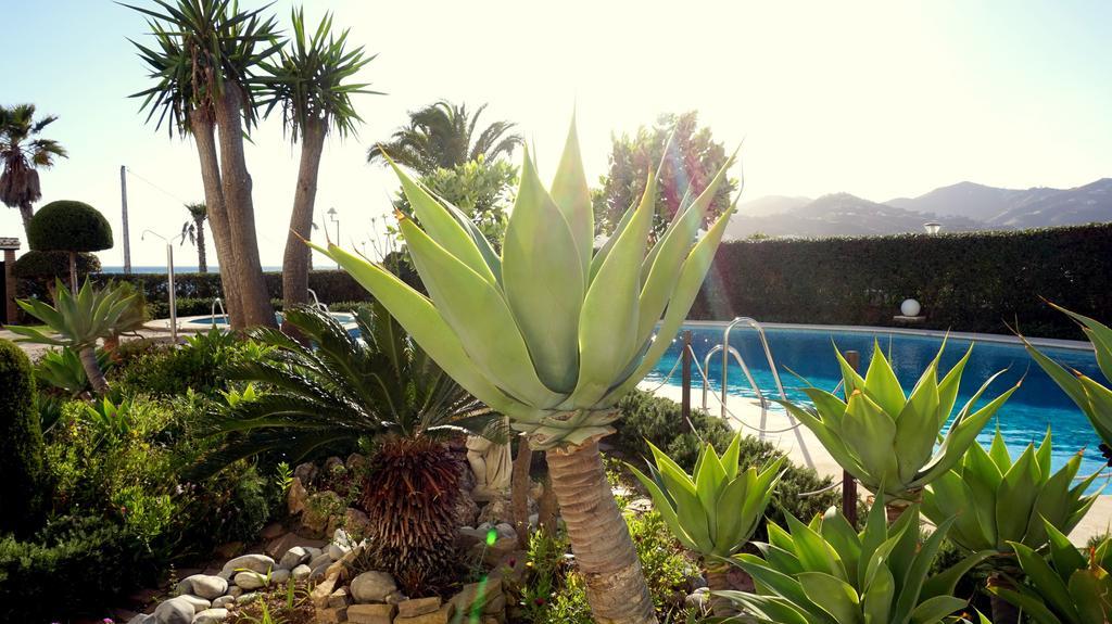 Apartamentos Starnerja En Stella Maris 客房 照片