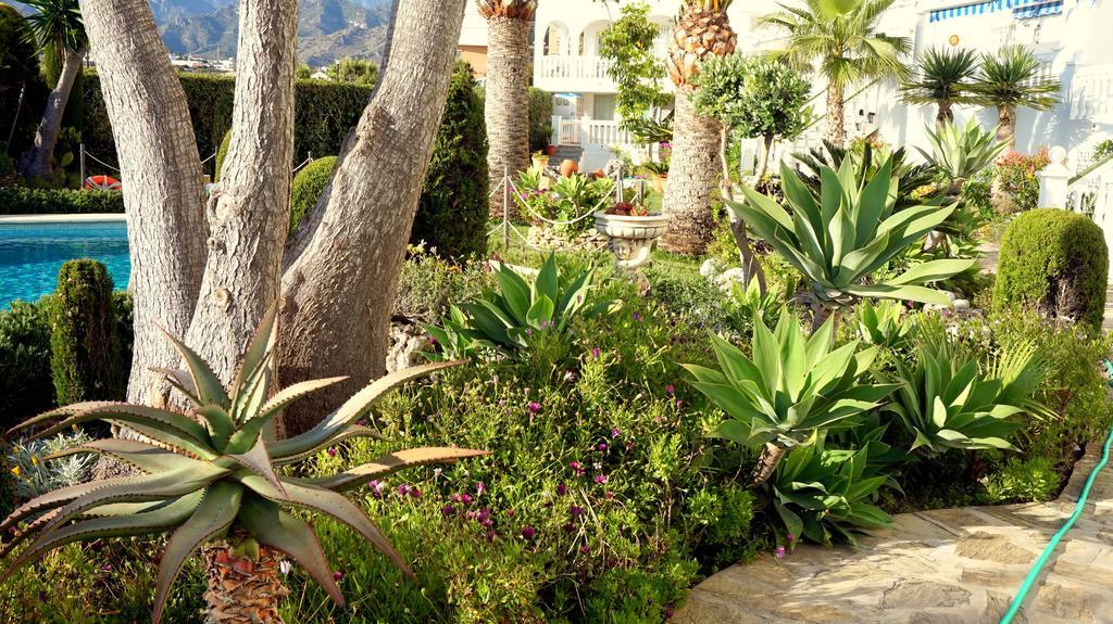 Apartamentos Starnerja En Stella Maris 客房 照片