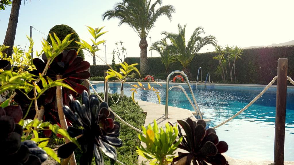 Apartamentos Starnerja En Stella Maris 客房 照片