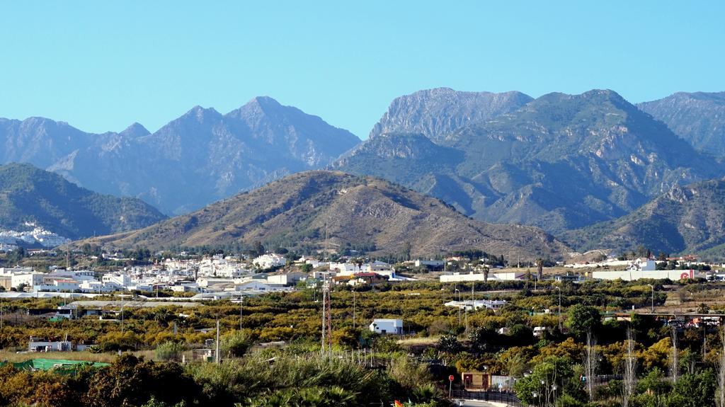 Apartamentos Starnerja En Stella Maris 客房 照片